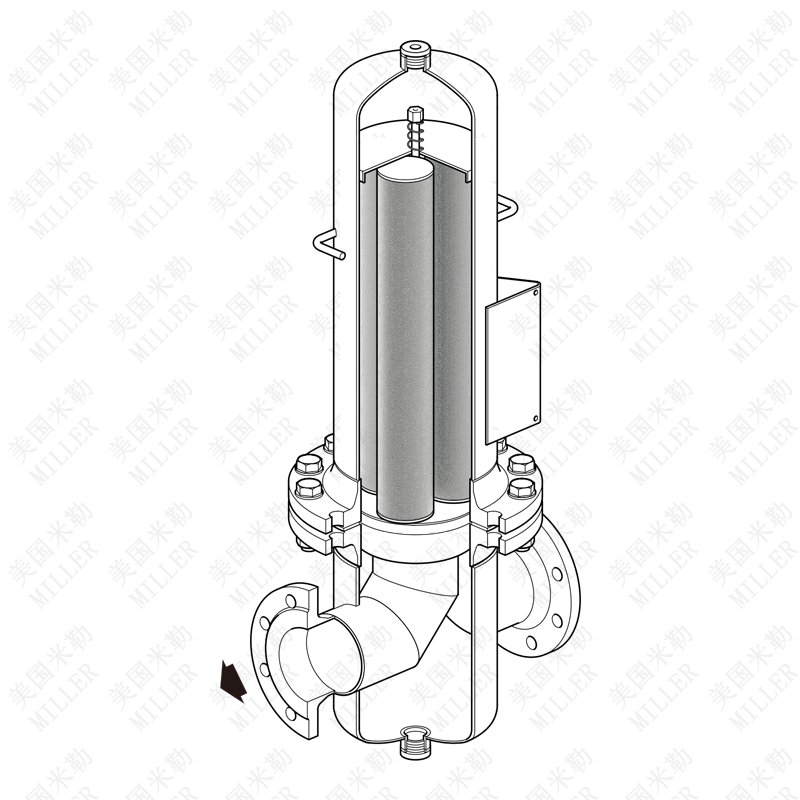 进口蒸汽过滤器结构图